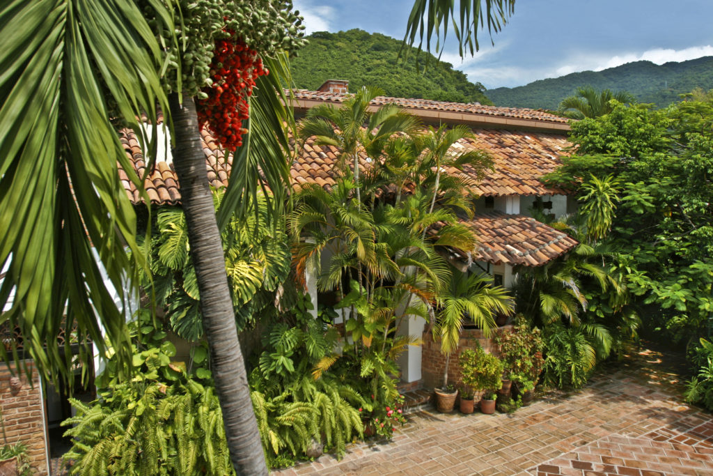 PATIO CON PALMERA (1 of 1)-8 - Villa Leonarda